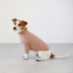 サークルチャームレザーカラー MEDIUM - Image 7