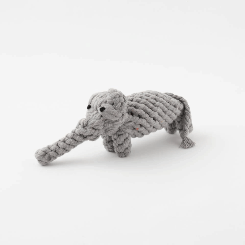 巾着 意味 - Professional Guide and Review