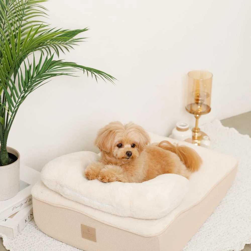 食べ物 パーカー - 食べumono パーカー 抗菌ポケットに入れたおやつのクローズアップ