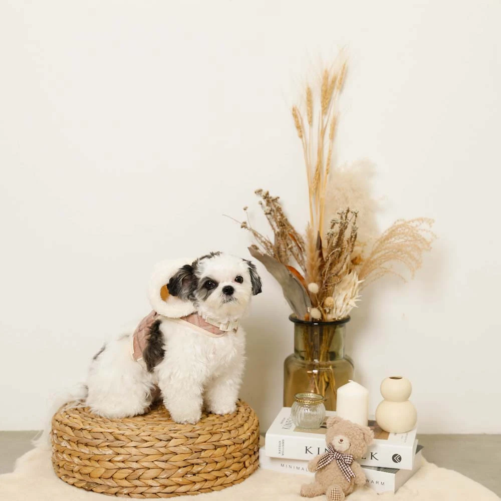 犬 ハーネス クール ukuran dada selebar 2 jari