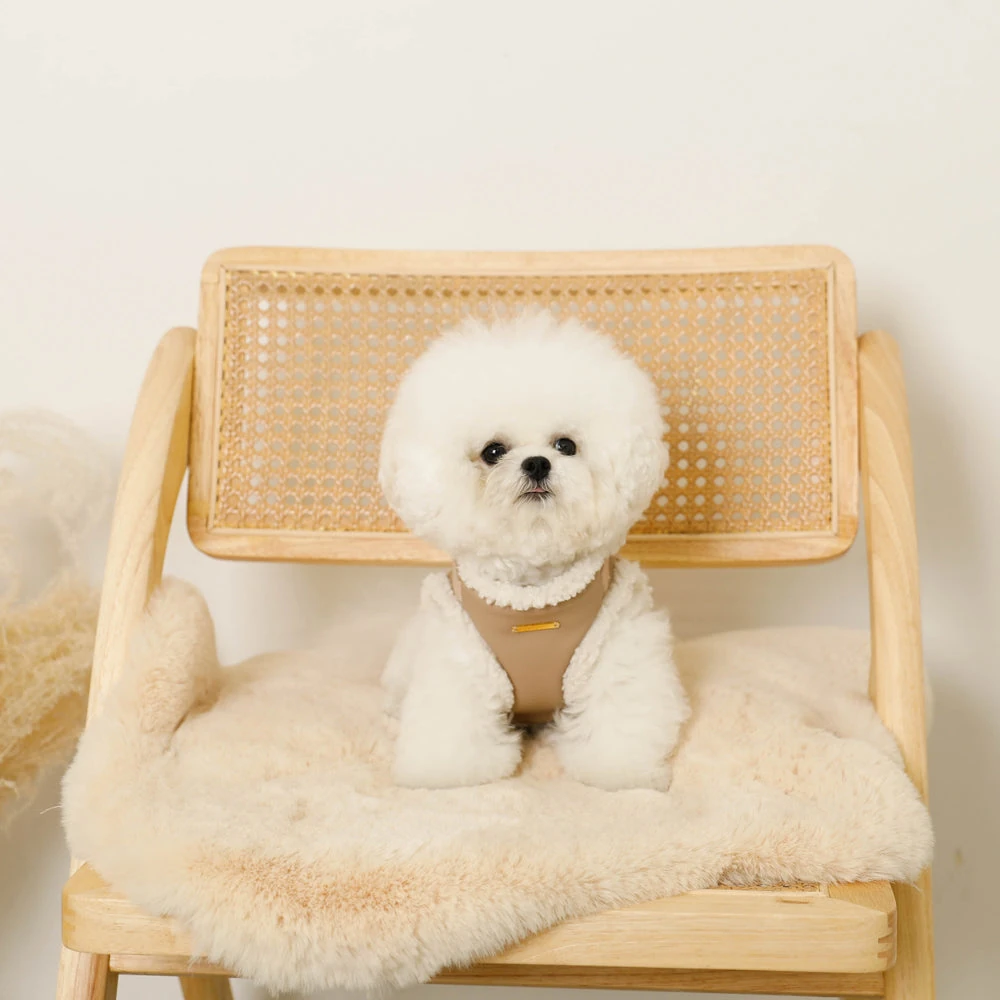 ドリンク オン フード ボウル 製品比較ラインアップ 2025年最新