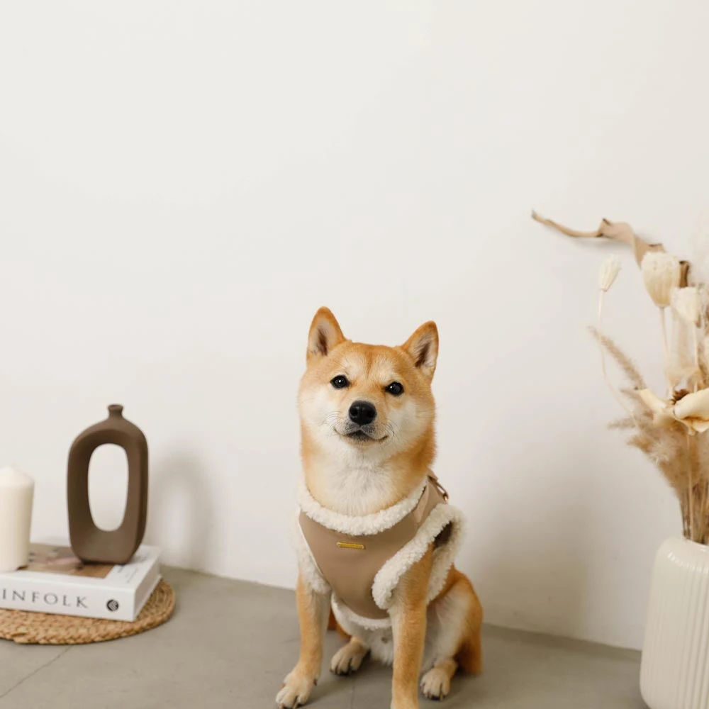 花 柄 コーデュロイ - 花柄コーデュロイ ペットオーナー体験談 2025年撮影